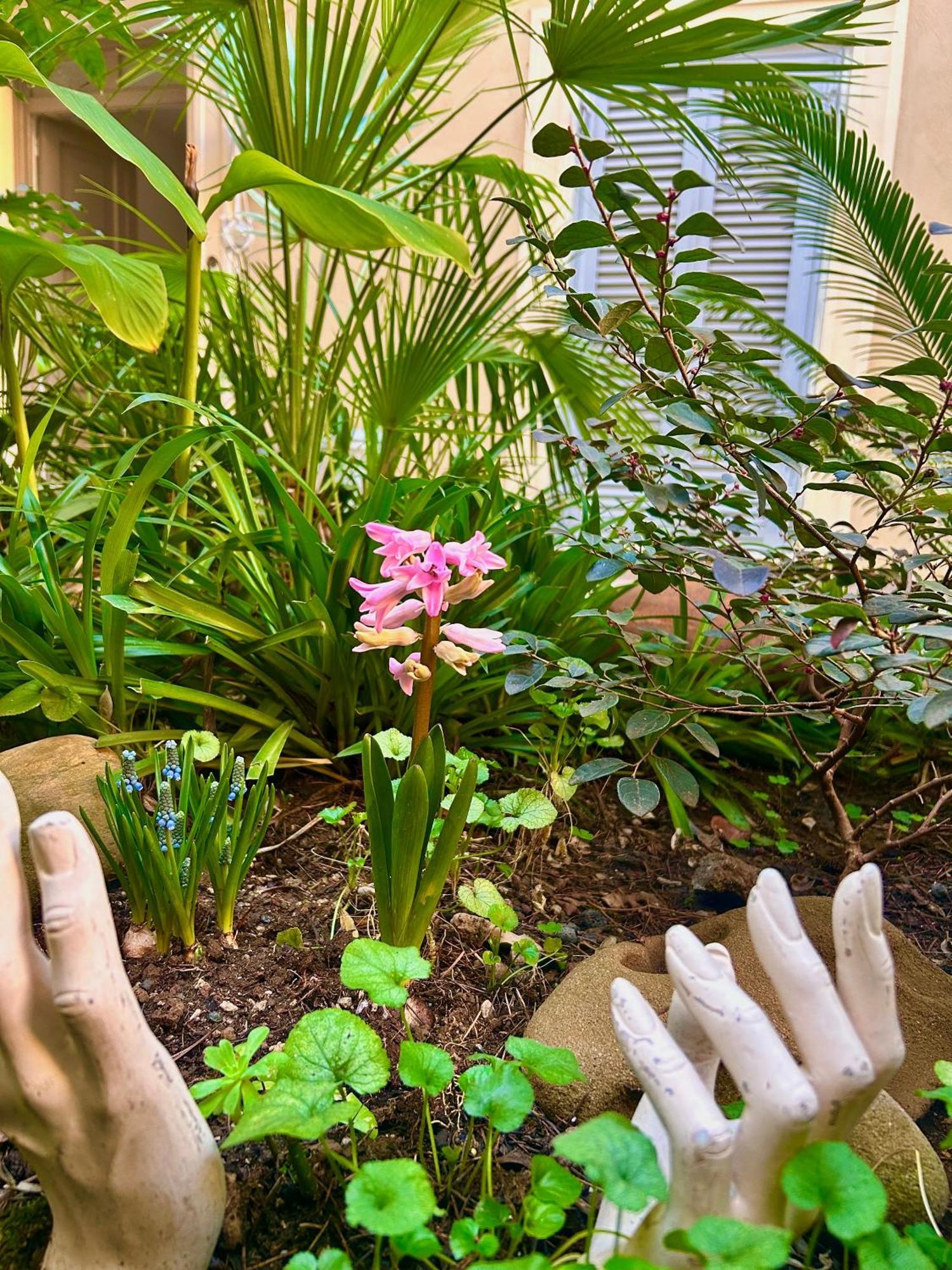 Isola Roger - Con Giardino A Semesterbostad *