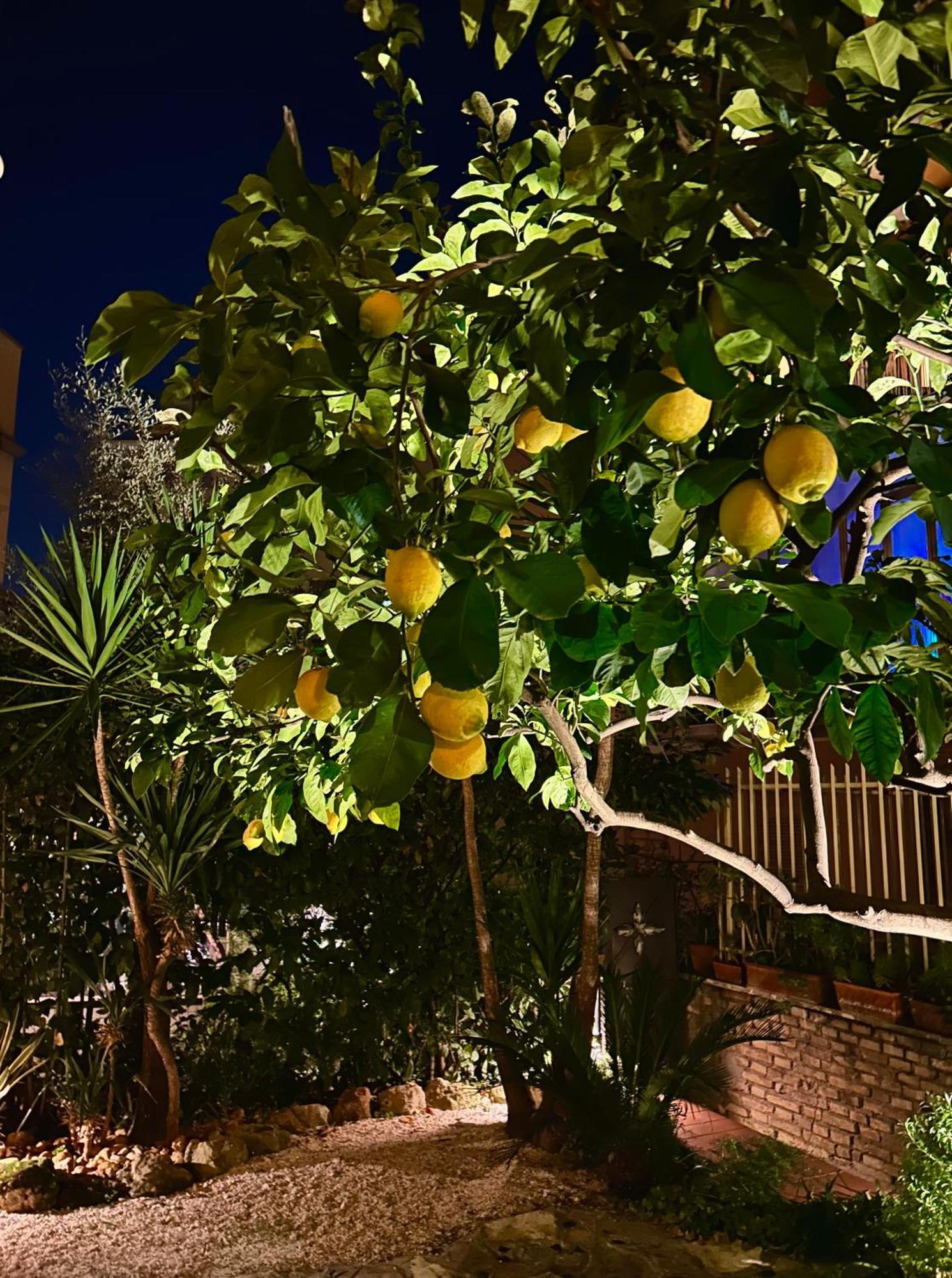 Isola Roger - Con Giardino A Ferienhaus