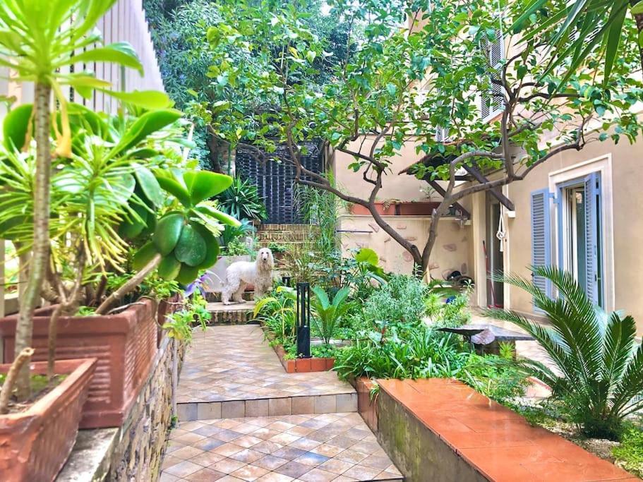 Isola Roger - Con Giardino A Ferienhaus *
